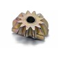 PINION QUADRANT 816666.AM 